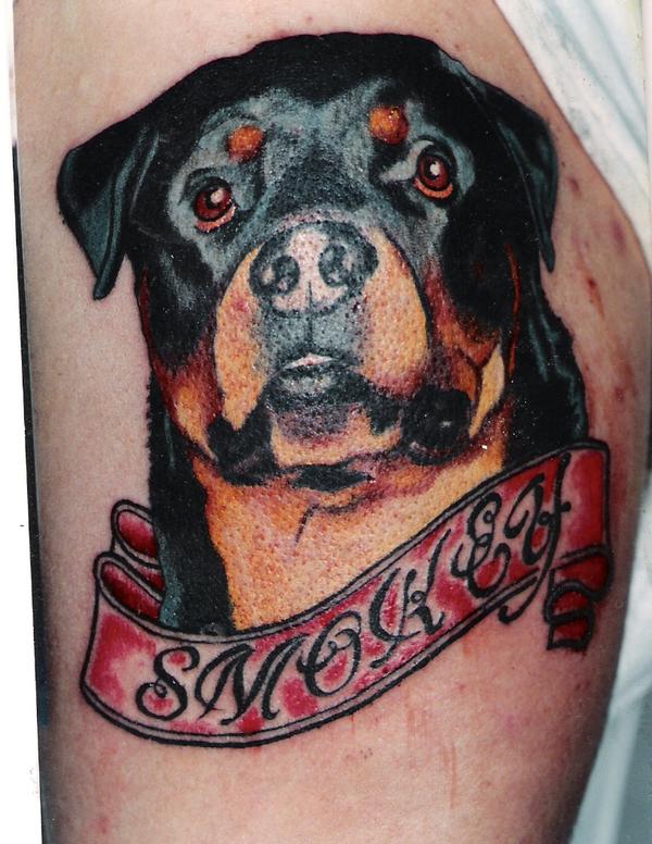 Tattoo Blog Uncategorized pitbull tattoo picture