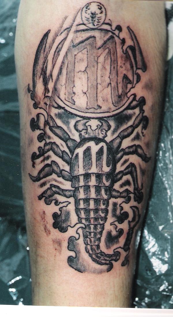 scorpions tattoo. scorpion tattoo picture