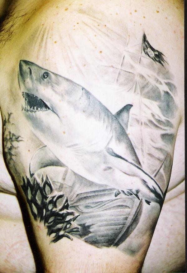 Tattoo Blog » Shark Tattoo Pictures