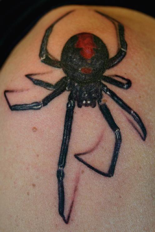 Spider Tattoo Flash